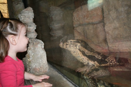 She kissed the glass for this lizard.  Gross, but pretty cute.