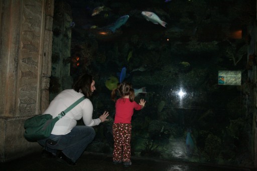 These tanks were cool, but getting close to the glass warped how the world looked.  Ava was nervous to get to close...I think she was afraid to fall in.