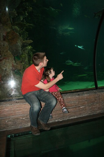 Checking out the sharks with Daddy